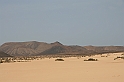 Kanary_2010 085